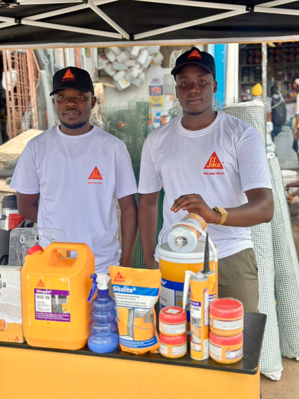 Sika Project Image 7